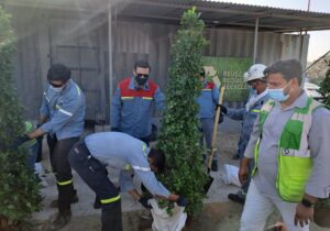 Tree Plantation Campaign with Emirates Global Aluminum team in Dubai Aluminum Dec.2021